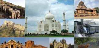 Almanya Vize Formu Doldurulmuş Örnek