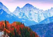 Almanya Vize Başvuru Formu Örneği ve Nasıl Hazırlanır?