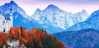 Almanya Vize Başvuru Formu Örneği ve Nasıl Hazırlanır?