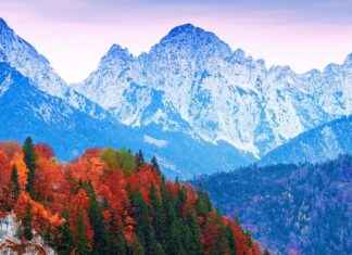 Almanya Vize Başvuru Formu Örneği ve Nasıl Hazırlanır?