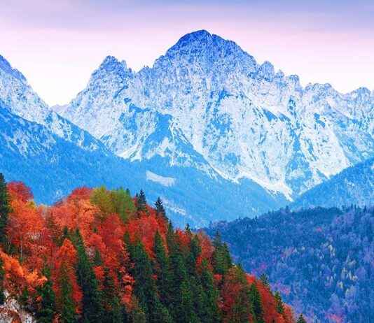 Almanya Vize Başvuru Formu Örneği ve Nasıl Hazırlanır?