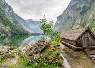 Almanya depremzedelere vize hakkında merak edilenler