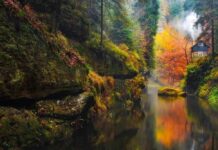 Almanya Vize Reddi İtiraz Dilekçesi Örneği