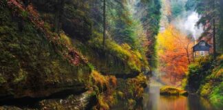 Almanya Vize Reddi İtiraz Dilekçesi Örneği