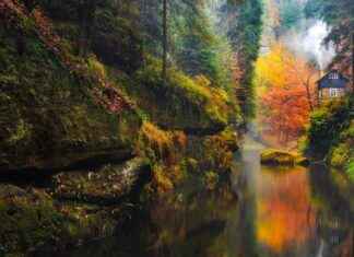 Almanya Vize Reddi İtiraz Dilekçesi Örneği