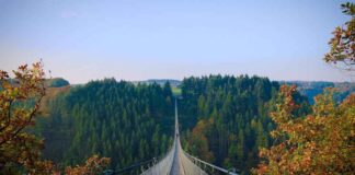 Almanya Vize Şikayetleri ve Başvuru Sürecindeki Zorluklar