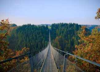 Almanya Vize Şikayetleri ve Başvuru Sürecindeki Zorluklar