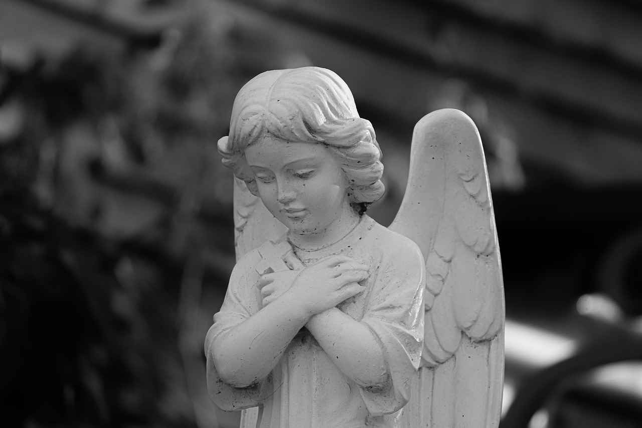 Almanya Aile Birleşimi Vizesi Nedir?