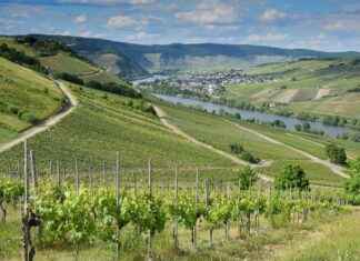 Almanya Aşağı Saksonya’da (Niedersachsen) Gezilecek Görülmesi Gereken Yerler Almanya Aşağı Saksonya'da (Niedersachsen) Gezilecek Görülmesi Gereken Yerler