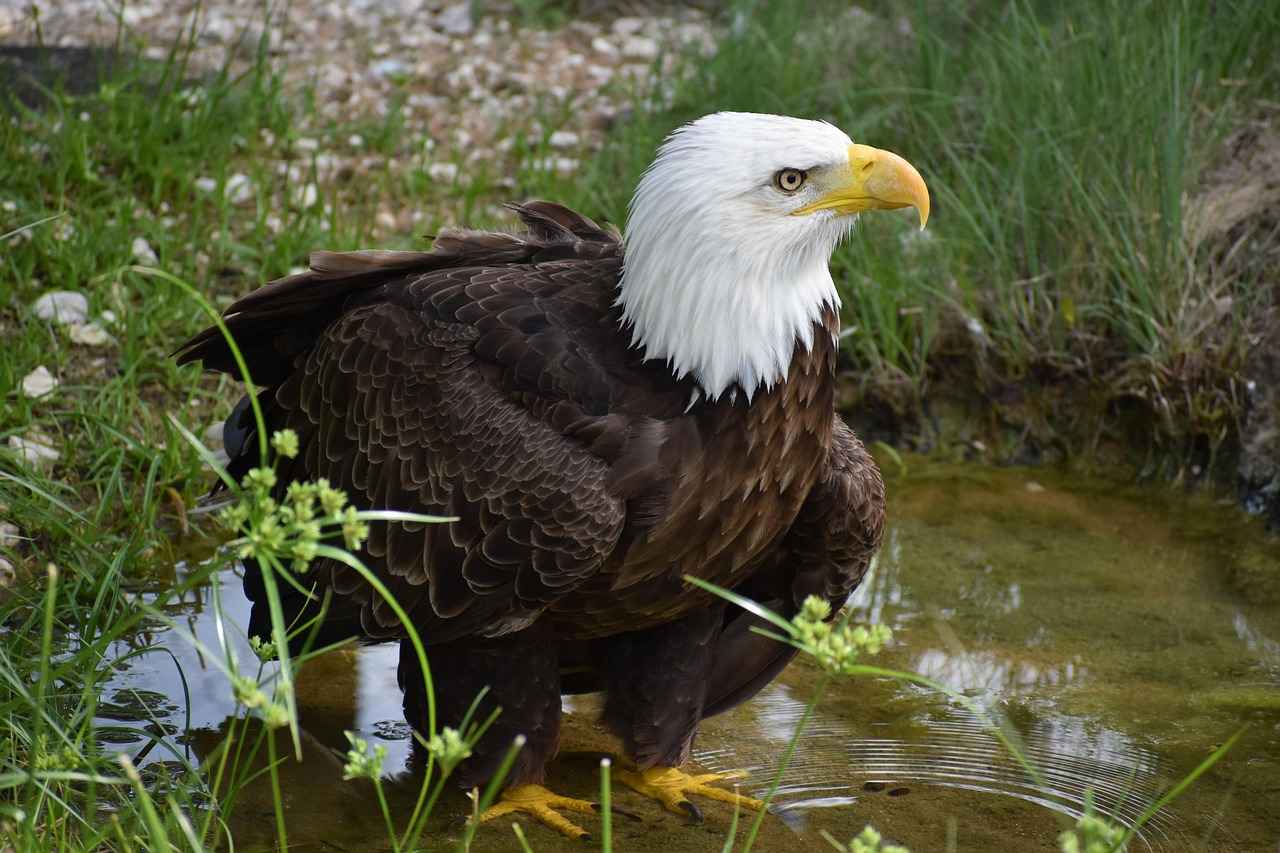 Asgari Ücretin Geleceği