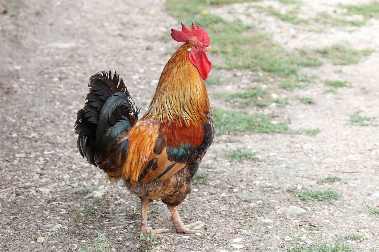 Almanya'da Asgari Ücretin Tarihçesi