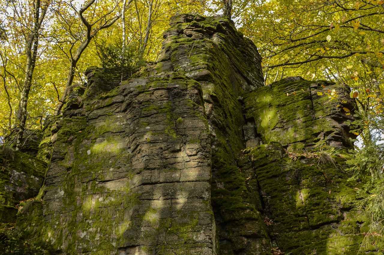 10. Pforzheim: Altın Şehir