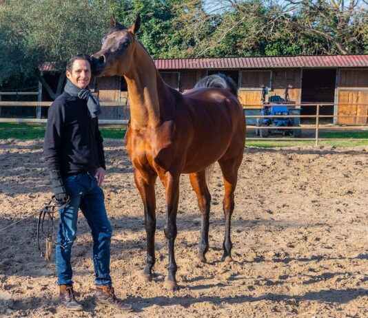 Almanya Bayrağının Anlamı ve Tarihçesi Almanya Bayrağının Anlamı ve Tarihçesi