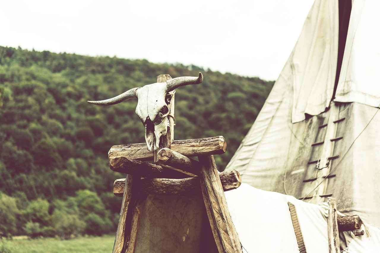 Almanya D Tipi Vize Nedir?