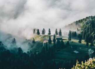 Almanya Dortmund’da Gezilecek Görülmesi Gereken Yerler Almanya Dortmund'da Gezilecek Görülmesi Gereken Yerler
