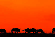 Almanya Emekli Maaşı 2024’te Nasıl Değişti? Almanya Emekli Maaşı 2024'te Nasıl Değişti?