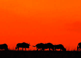 Almanya Emekli Maaşı 2024’te Nasıl Değişti? Almanya Emekli Maaşı 2024'te Nasıl Değişti?