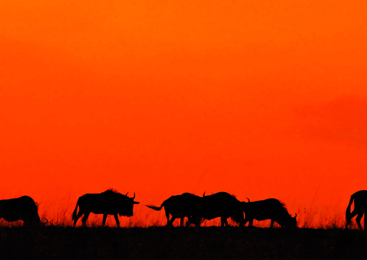 Emekli Maaşlarının Hesaplanmasında Değişiklikler