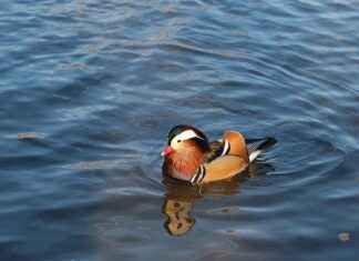 Almanya Erfurt’ta Gezilecek Görülmesi Gereken Yerler Almanya Erfurt'ta Gezilecek Görülmesi Gereken Yerler
