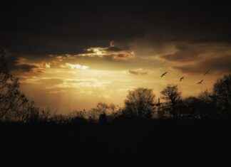 Almanya Ev Fiyatları ve Kiralık Ev Seçenekleri Almanya Ev Fiyatları ve Kiralık Ev Seçenekleri