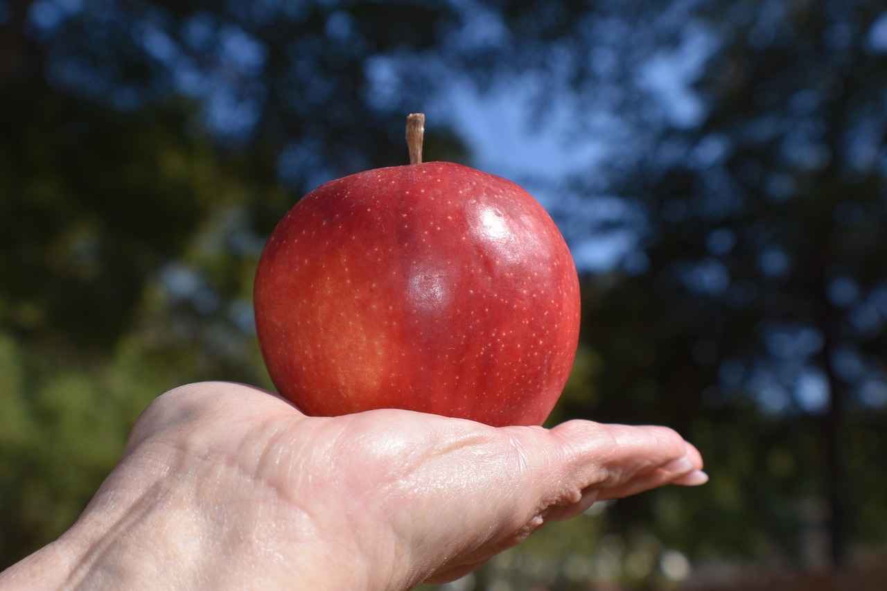 Almanya'da Gayrimenkul Yatırımı Yapmanın Avantajları