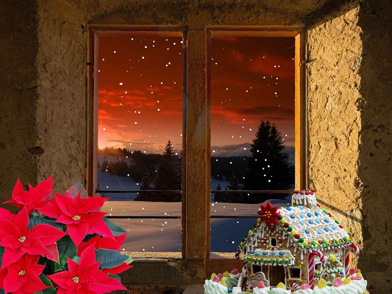 Almanya'da Nakliyat Firması Seçerken Dikkat Edilmesi Gerekenler