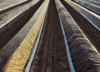 Almanya Film Sektörünün Büyüklüğü ve İlginç Projeleri Almanya Film Sektörünün Büyüklüğü ve İlginç Projeleri