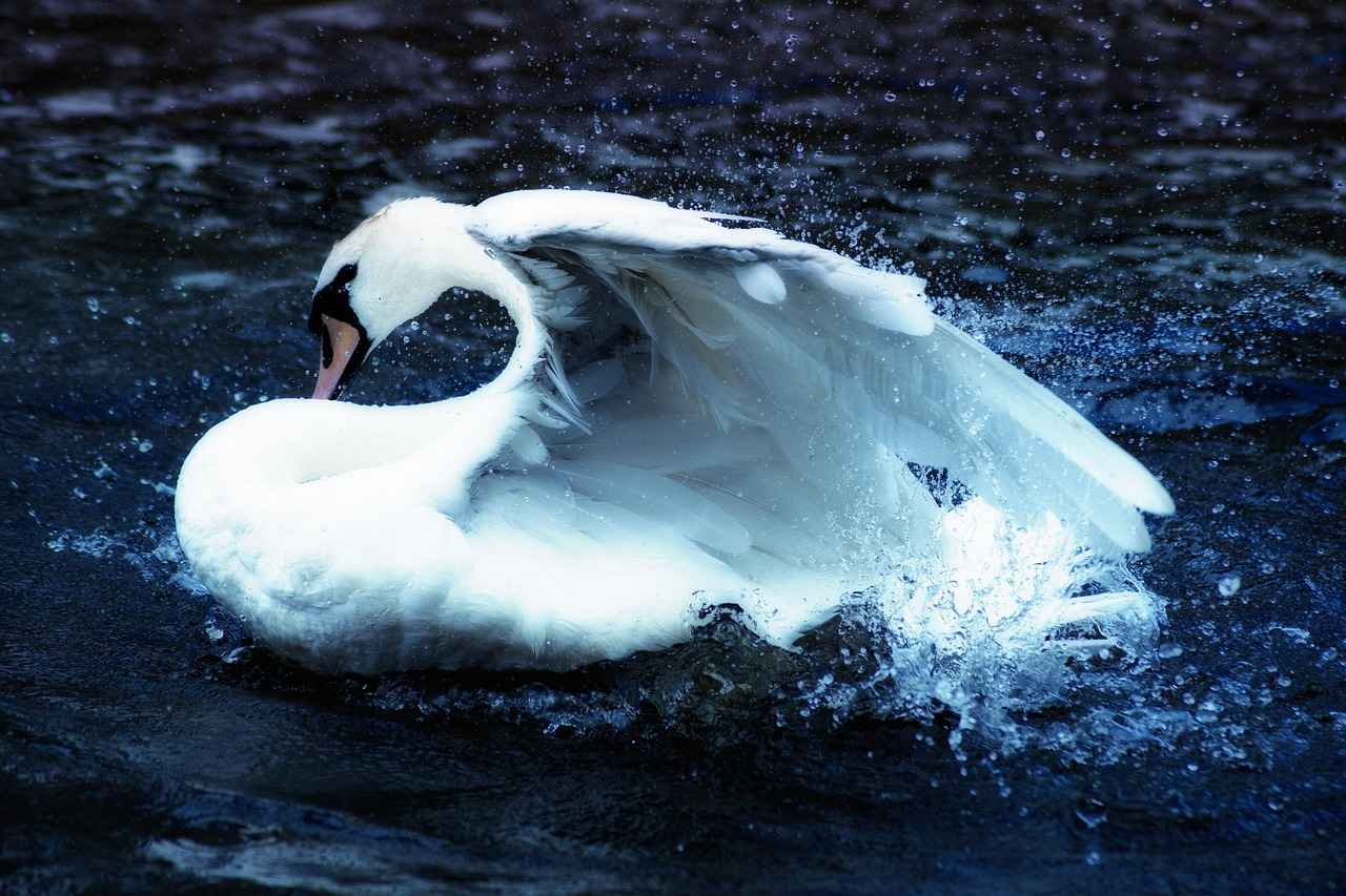 9. Alster Gölü: Şehrin Dinlenme Noktası