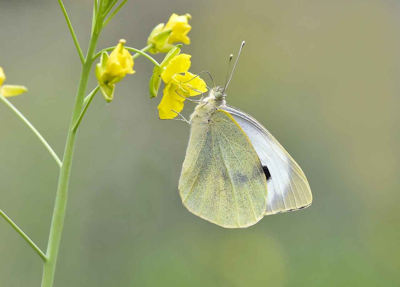Almanya Harita Üzerindeki Eyaletler ve Şehirler 7 Sonuç: Almanya'nın Zenginlikleri ve Çeşitliliği