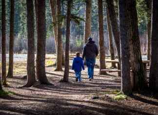 Almanya Haritası ve Şehirler Hakkında Bilmeniz Gerekenler Almanya Haritası ve Şehirler Hakkında Bilmeniz Gerekenler