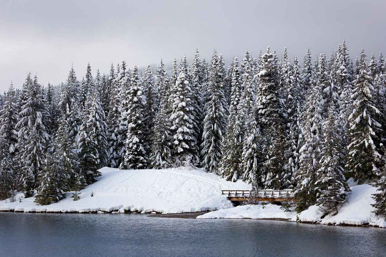 Almanya'nın Coğrafi Konumu