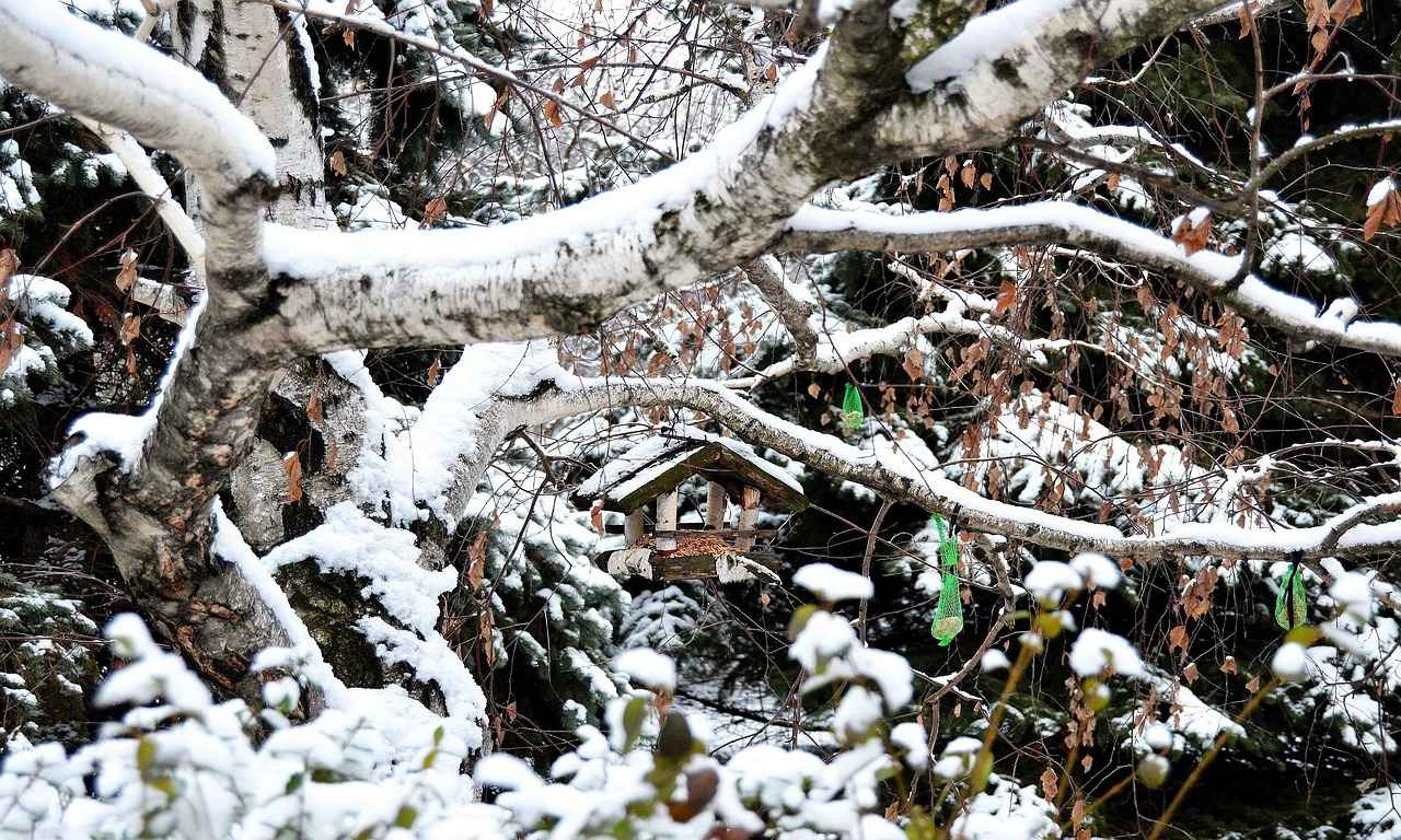 Mevsimsel Hava Durumu Analizi