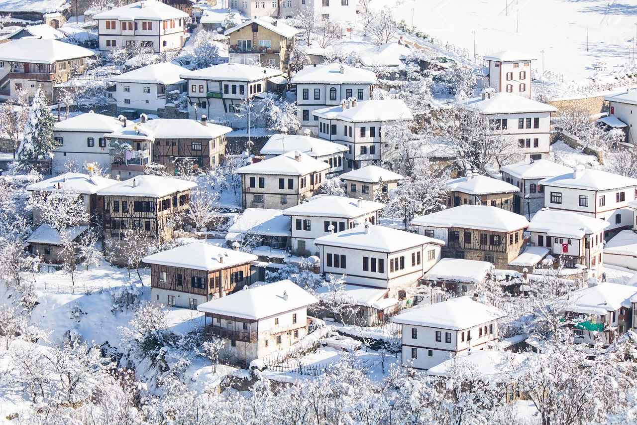 Almanya Vizesi Nedir?