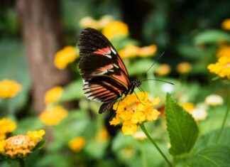 Almanya İşçi Alımı 2023 Başvuruları Nasıl Yapılır? Almanya İşçi Alımı 2023 Başvuruları Nasıl Yapılır?