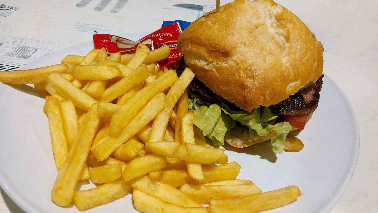 Almanya Vize Türleri