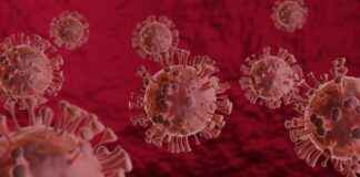 Almanya Koronavirüs Son Durumu ve Önlemleri Almanya Koronavirüs Son Durumu ve Önlemleri