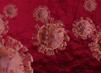 Almanya Koronavirüs Son Durumu ve Önlemleri Almanya Koronavirüs Son Durumu ve Önlemleri