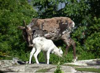 Almanya Kuzey Ren-Vestfalya’da (Nordrhein-Westfalen) Gezilecek Görülmesi Gereken Yerler Almanya Kuzey Ren-Vestfalya'da (Nordrhein-Westfalen) Gezilecek Görülmesi Gereken Yerler