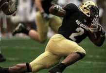 Almanya Maçı Hangi Tarihte Oynanacak? Almanya Maçı Hangi Tarihte Oynanacak?