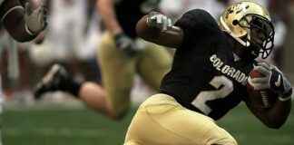 Almanya Maçı Hangi Tarihte Oynanacak? Almanya Maçı Hangi Tarihte Oynanacak?