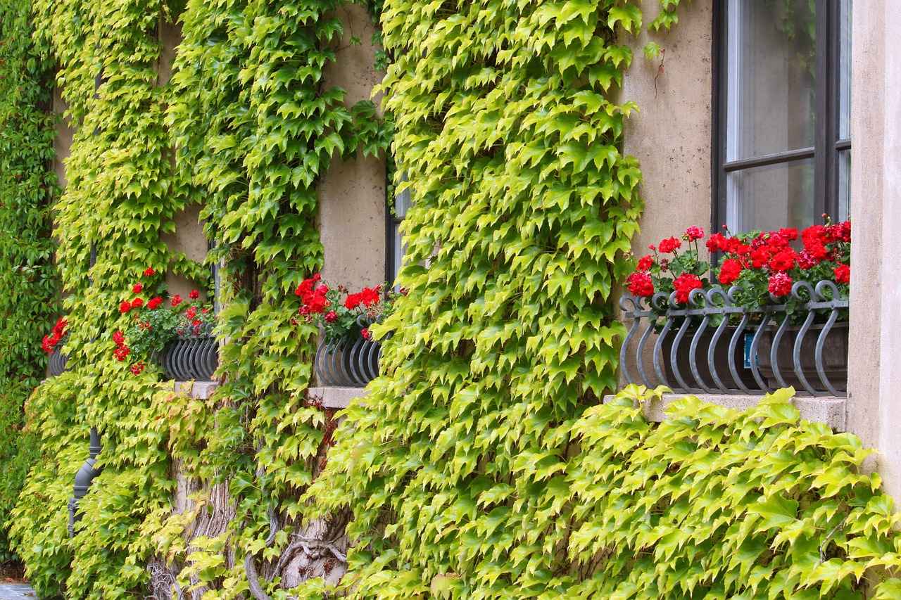 10. Magdeburg Festivalleri