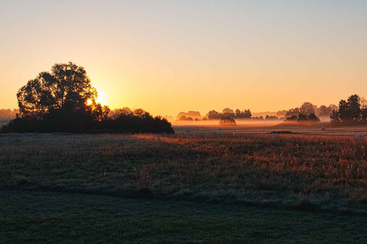 Mecklenburg-Vorpommern Nedir?