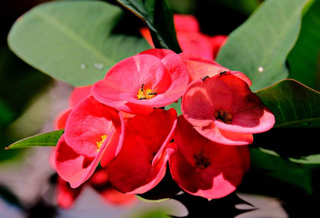 2023 Kadrosu ve Yeni Oyuncular