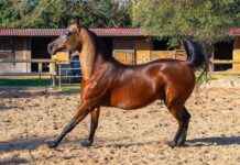 Almanya nüfusu 2023’te kaç oldu? Almanya nüfusu 2023'te kaç oldu?