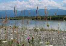 Almanya Renanya-Palatina’da (Rheinland-Pfalz) Gezilecek Görülmesi Gereken Yerler Almanya Renanya-Palatina'da (Rheinland-Pfalz) Gezilecek Görülmesi Gereken Yerler