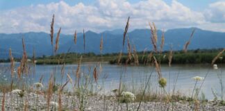 Almanya Renanya-Palatina’da (Rheinland-Pfalz) Gezilecek Görülmesi Gereken Yerler Almanya Renanya-Palatina'da (Rheinland-Pfalz) Gezilecek Görülmesi Gereken Yerler