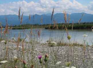Almanya Renanya-Palatina’da (Rheinland-Pfalz) Gezilecek Görülmesi Gereken Yerler Almanya Renanya-Palatina'da (Rheinland-Pfalz) Gezilecek Görülmesi Gereken Yerler