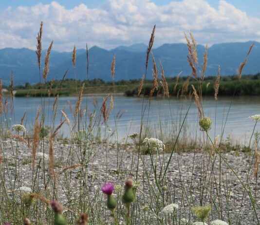 Almanya Renanya-Palatina’da (Rheinland-Pfalz) Gezilecek Görülmesi Gereken Yerler Almanya Renanya-Palatina'da (Rheinland-Pfalz) Gezilecek Görülmesi Gereken Yerler