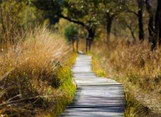 Almanya Şehir Haritası ve Gezilecek Yerler Almanya Şehir Haritası ve Gezilecek Yerler