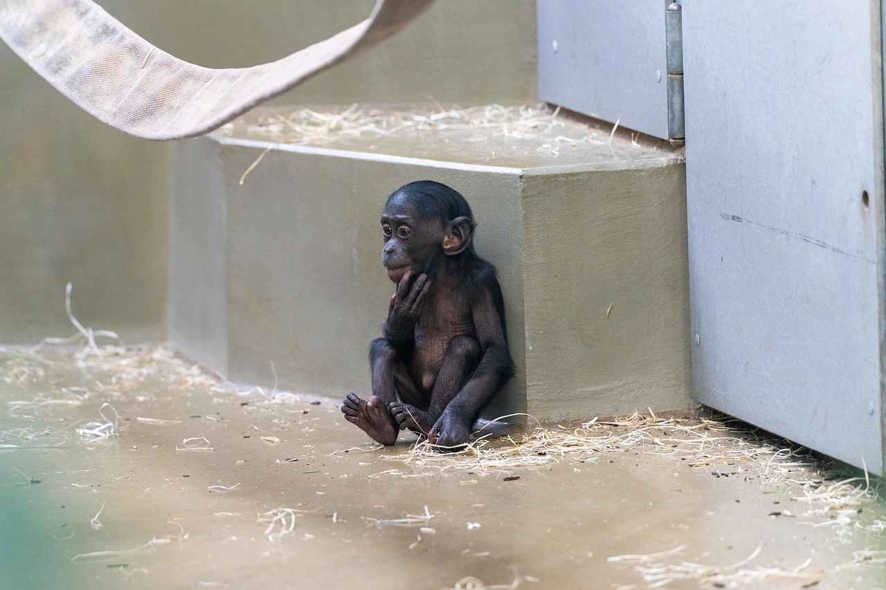 Stuttgart'ta Alışveriş